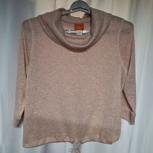 Hearts of Palm Sparkley Cowl Neck Sweater